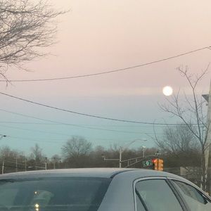 Meet your Posher, Allie